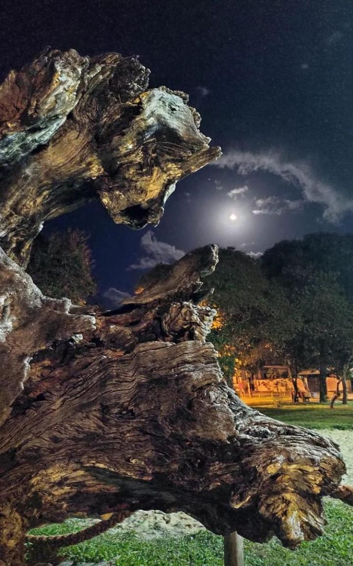 Pousada Vila Morena イタウナス エクステリア 写真